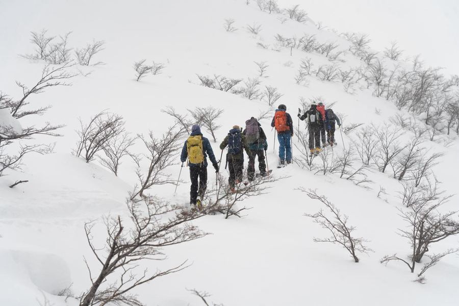 Travesía por bosque nevado